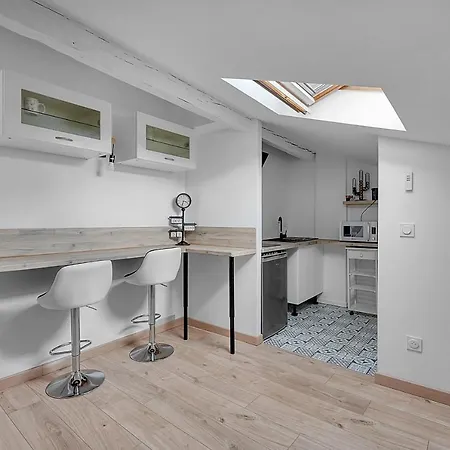 Apartment Nice Studio Under The Roof Ideal For 2 In Toulouse *